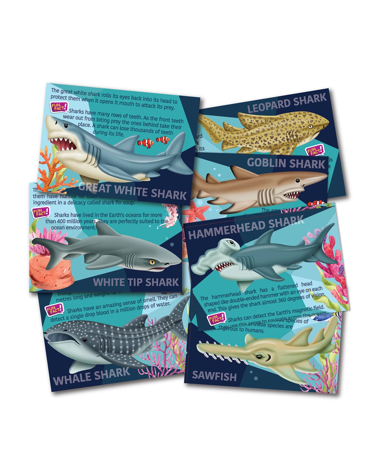 Mould & Paint Sharks