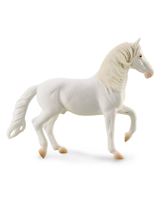 Camarillo White Horse xl