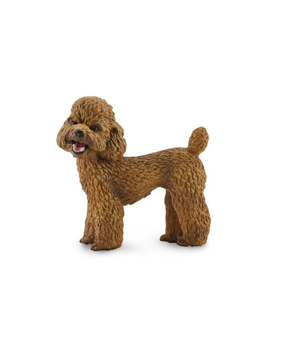 Collecta Poodle M