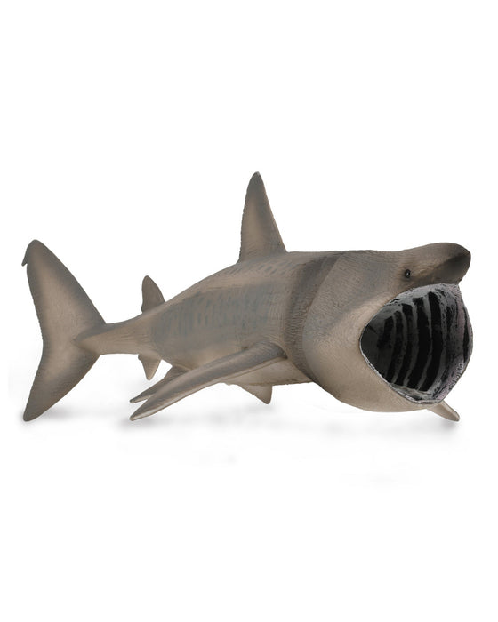 Collecta Basking Shark Xl