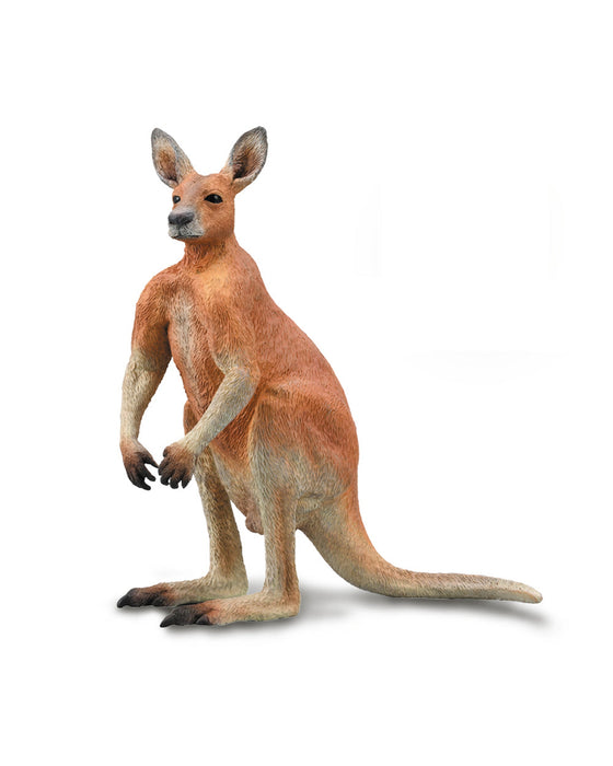Collecta Red Kangaroo Male L