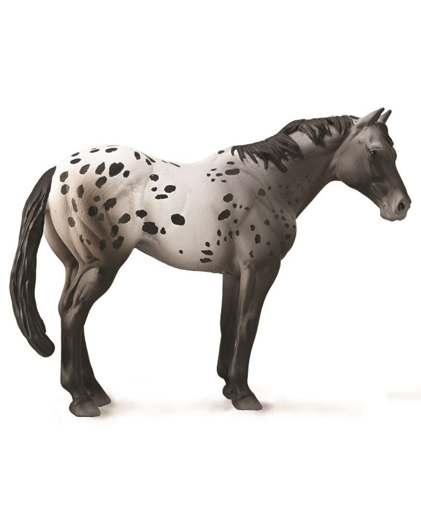Collecta Appaloosa Blue Roan Extra Large