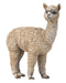 CollectA M Alpaca