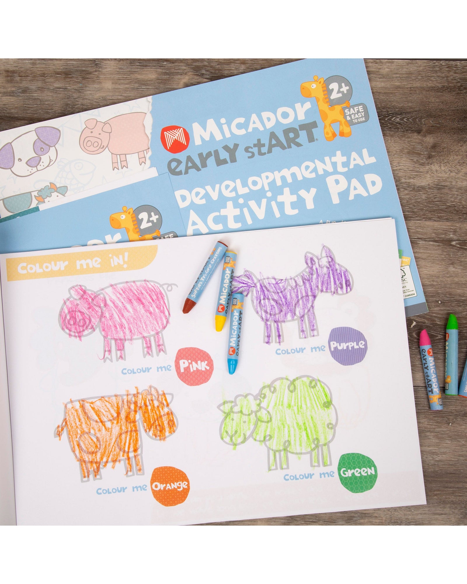 early stART Developmental Activity Pad