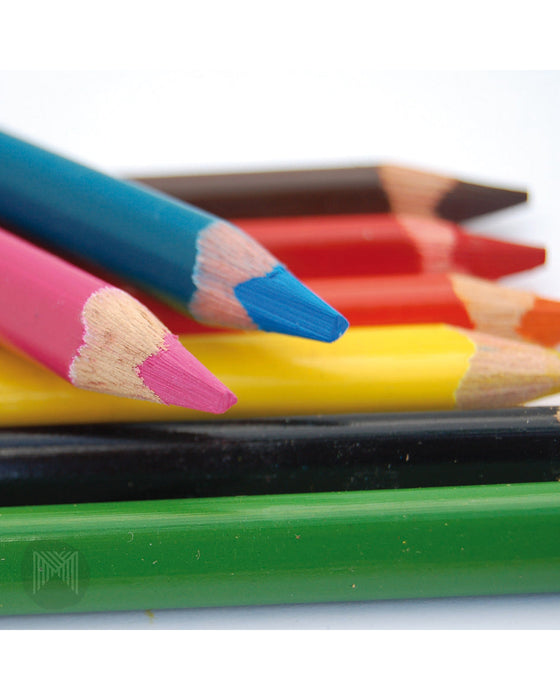 Micador Jr ColourRush Jumbo Triangle Pencil 12 Pack