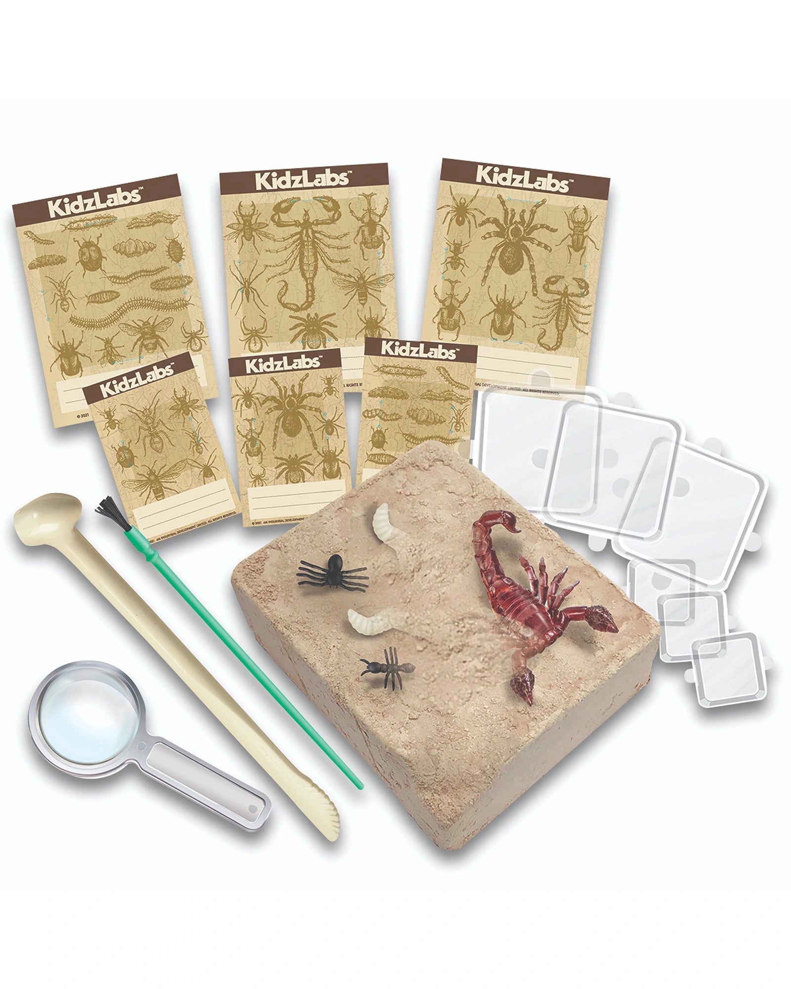 4M Kidz Labs Creepy Crawly Digging Kit