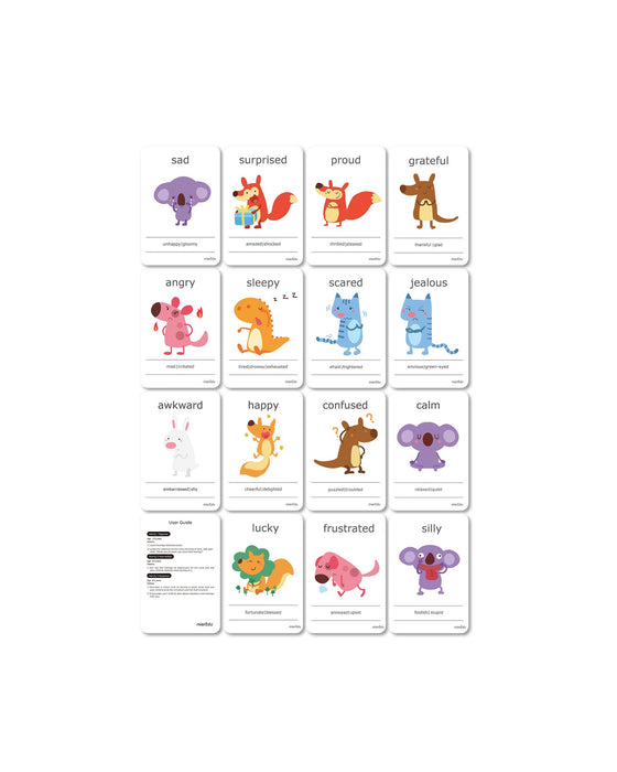 Meir Edu Cognitive Flash Cards Feelings Emotions