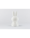 Miffy Star Light Lamp