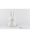 Miffy Star Light Lamp