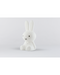 Miffy Star Light Lamp