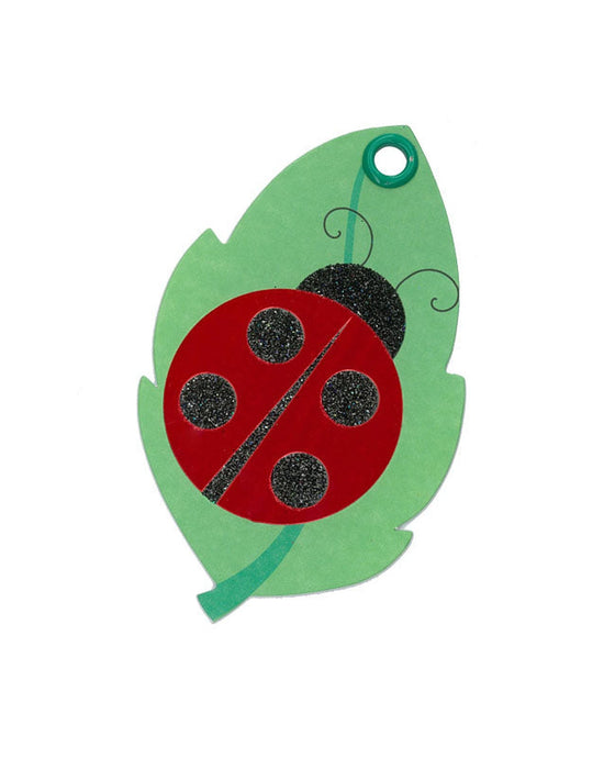 Candlebark Tag Ladybird