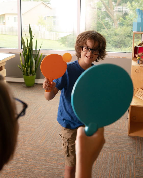 Fat Brain Door Pong Game