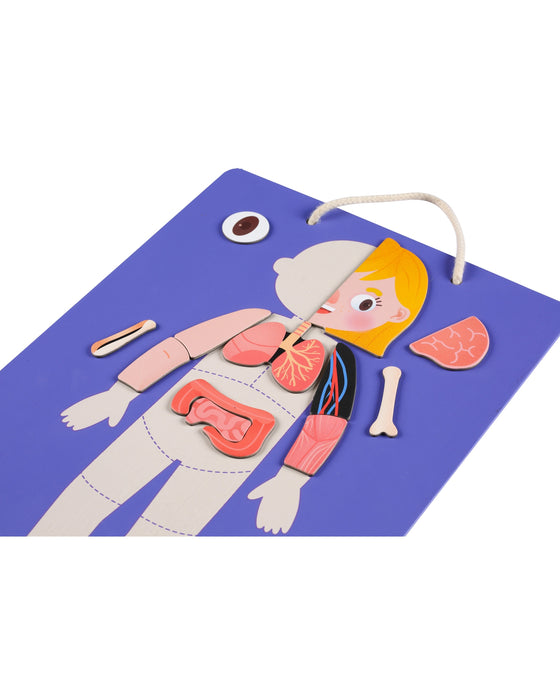 Meir Edu Magnetic Kit My Body Emotion