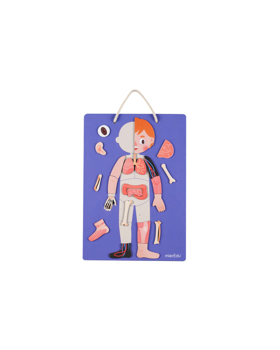Meir Edu Magnetic Kit My Body Emotion
