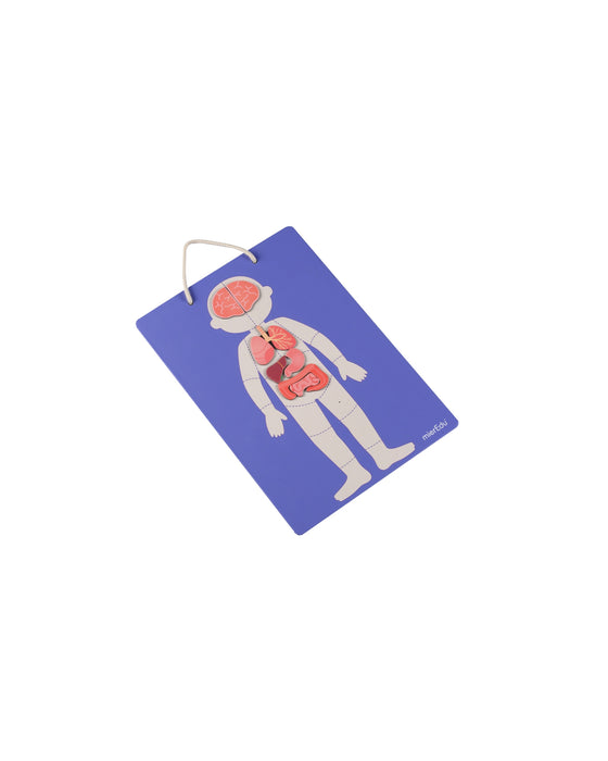 Meir Edu Magnetic Kit My Body Emotion