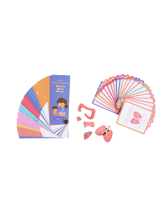 Meir Edu Magnetic Kit My Body Emotion