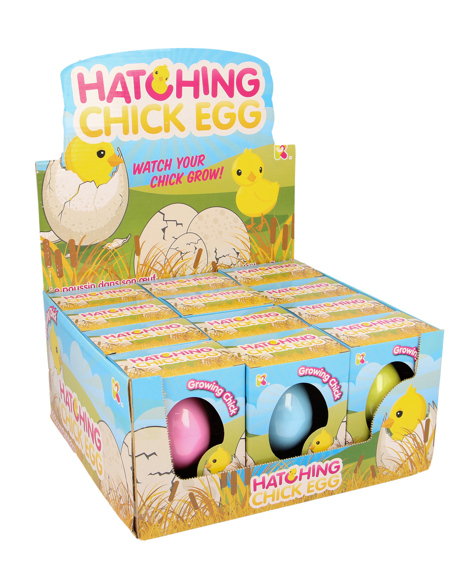 Small Chick Hatching Eggs