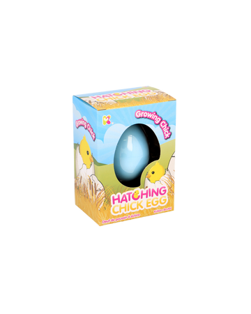 Small Chick Hatching Eggs
