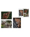 Photographers Collection 1000pc Puzzle Tri Pack Boyd No.1