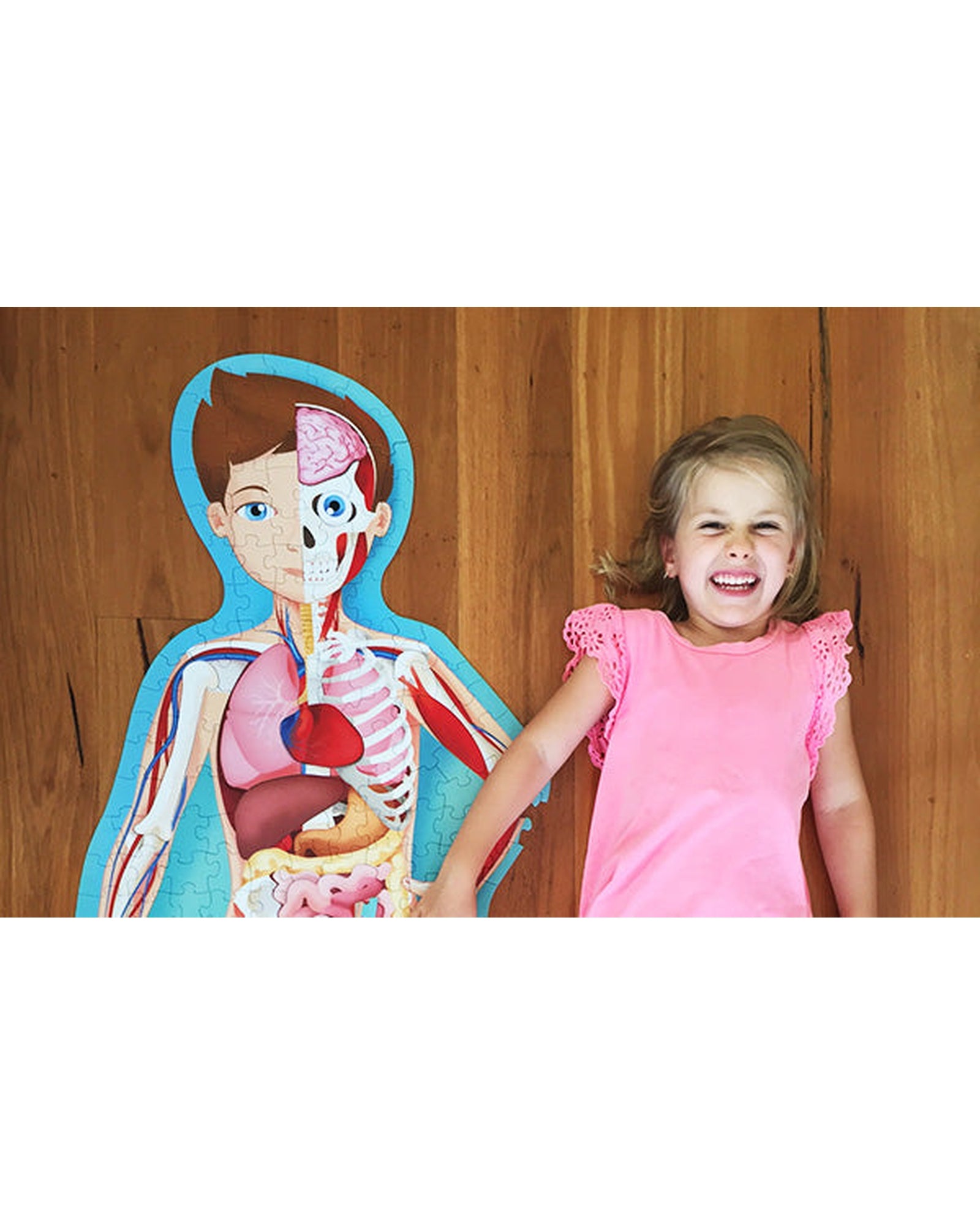 Travel Learn Explore – The Human Body