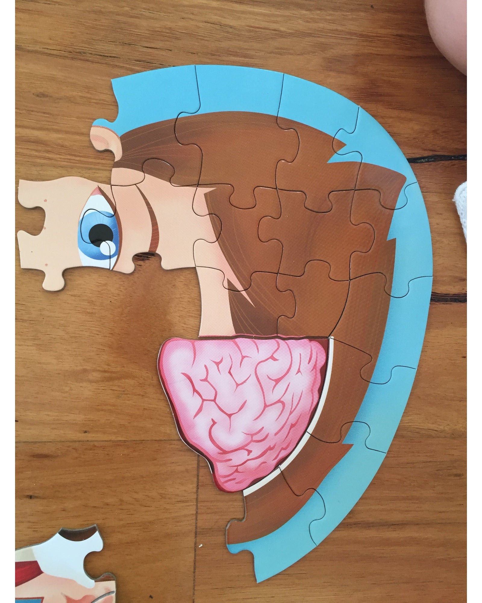 Travel Learn Explore – The Human Body