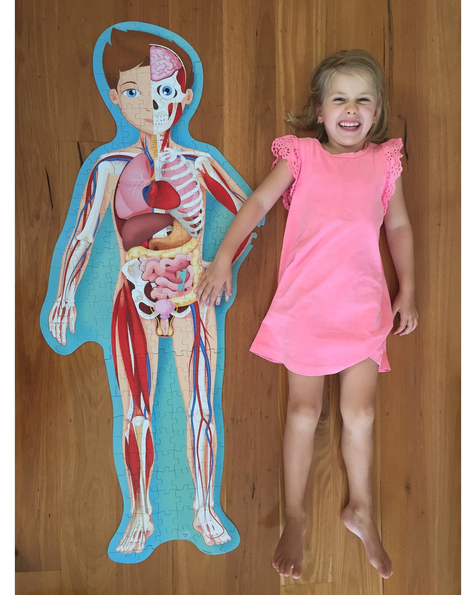 Travel Learn Explore – The Human Body