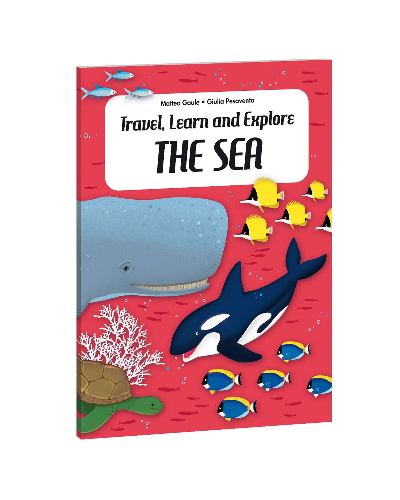 Travel Learn Explore – The Sea