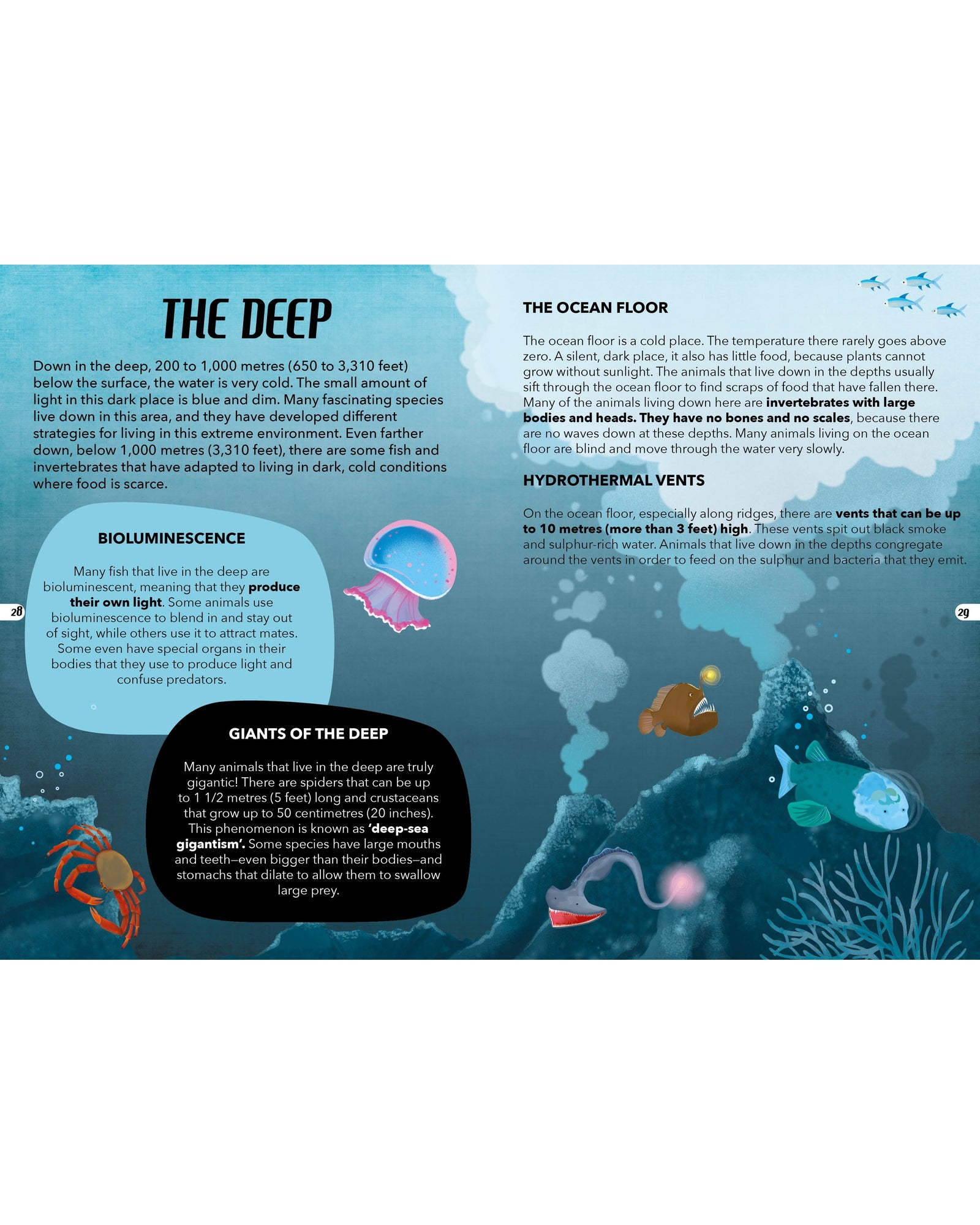 Travel Learn Explore – The Sea