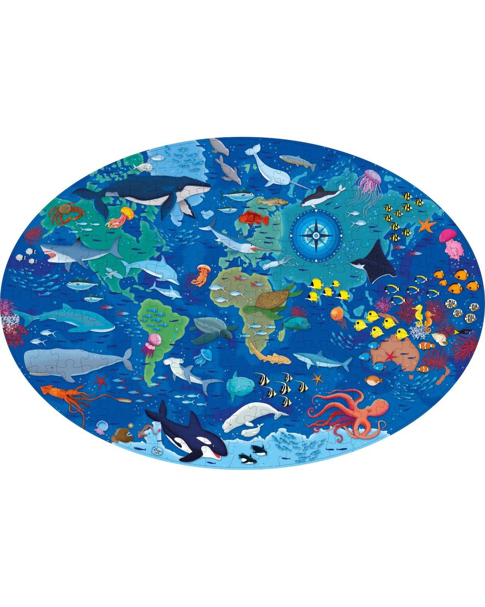 Travel Learn Explore – The Sea