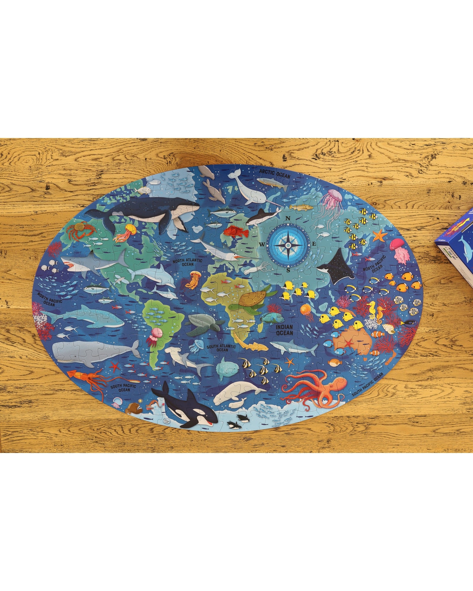 Travel Learn Explore – The Sea