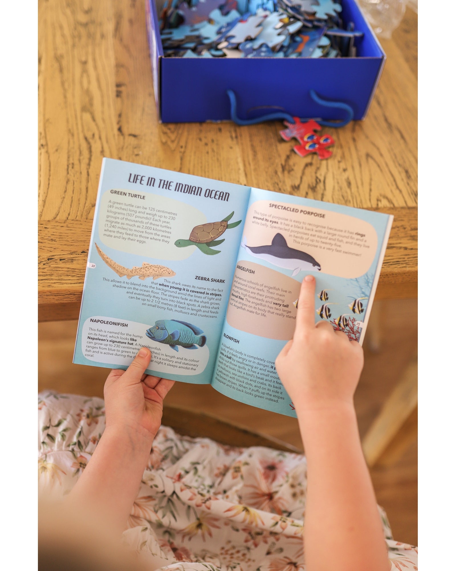 Travel Learn Explore – The Sea