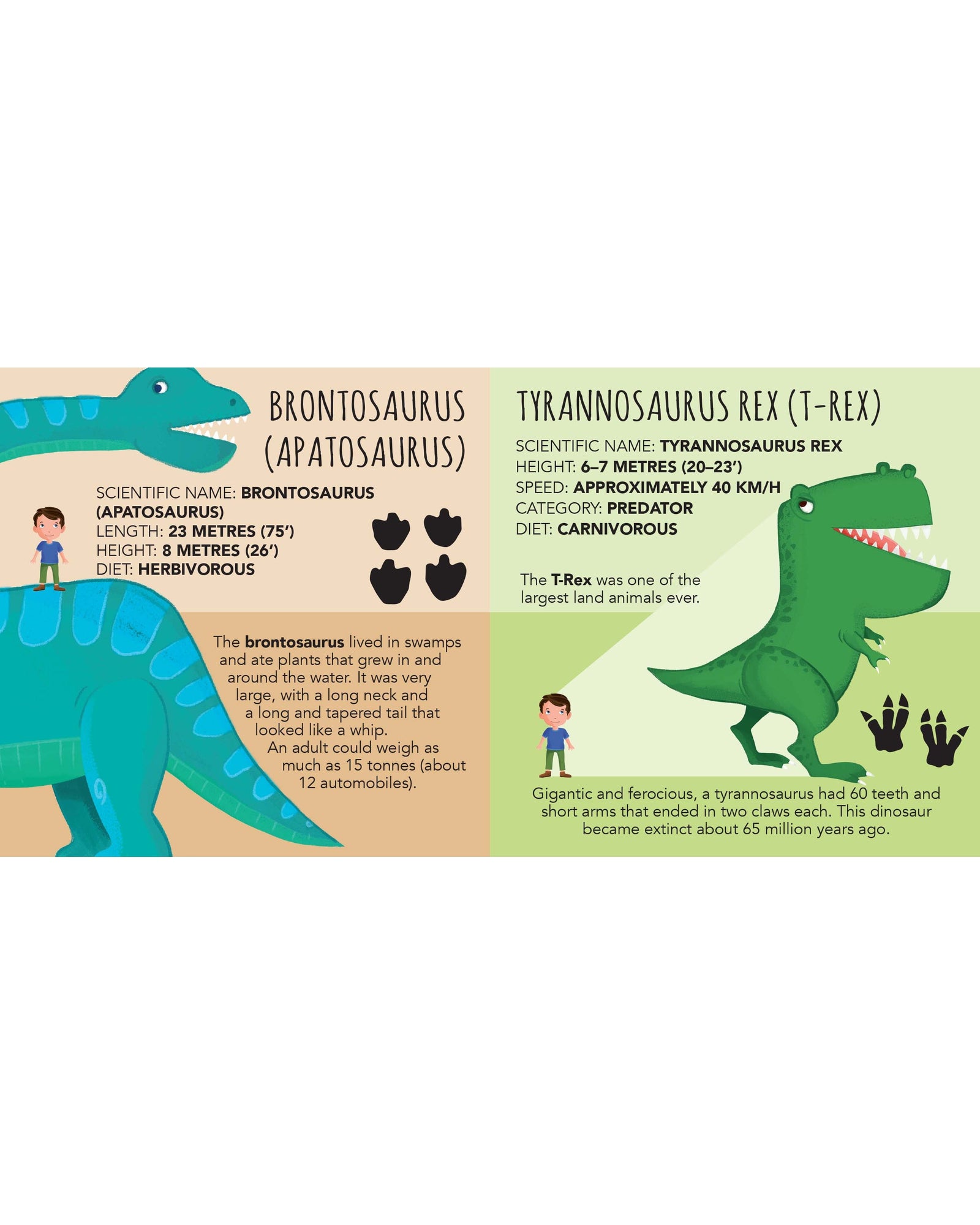 Sassi Stacking Blocks and Book Dinosaur