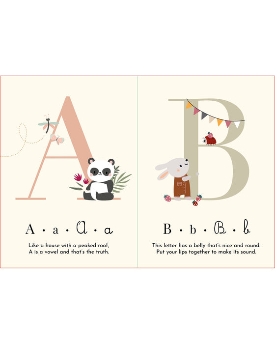 Sassi My First Moments Card and Book Set Alphabet