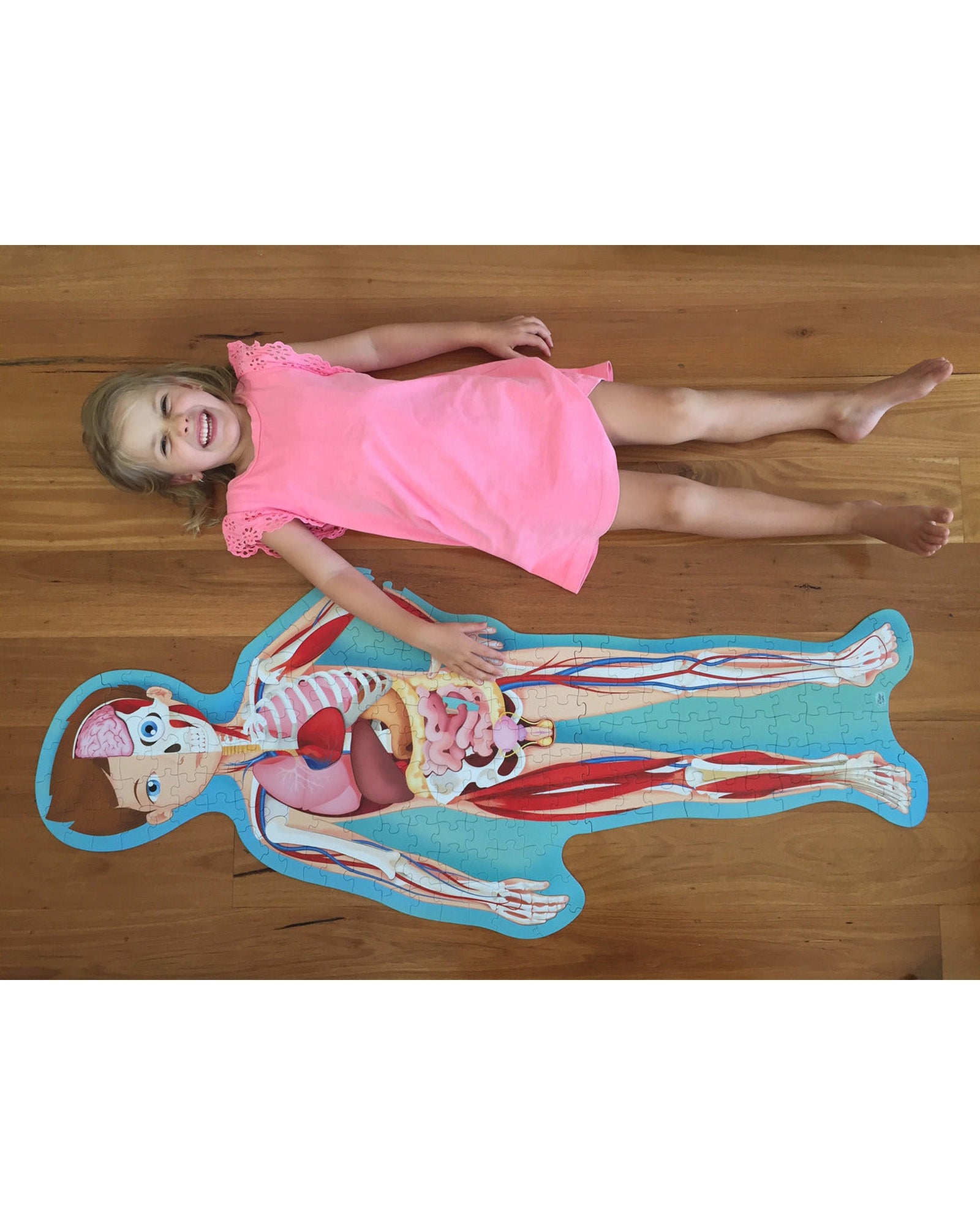 Travel Learn Explore – The Human Body