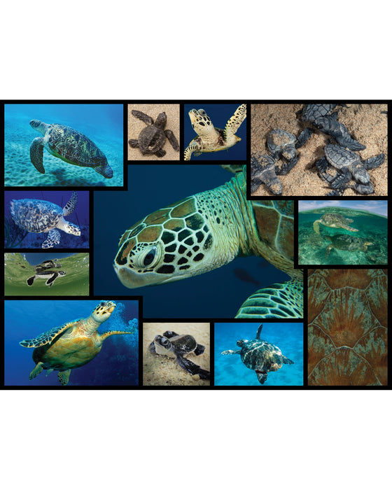 WWF 1000PC Puzzles Sea Turtles