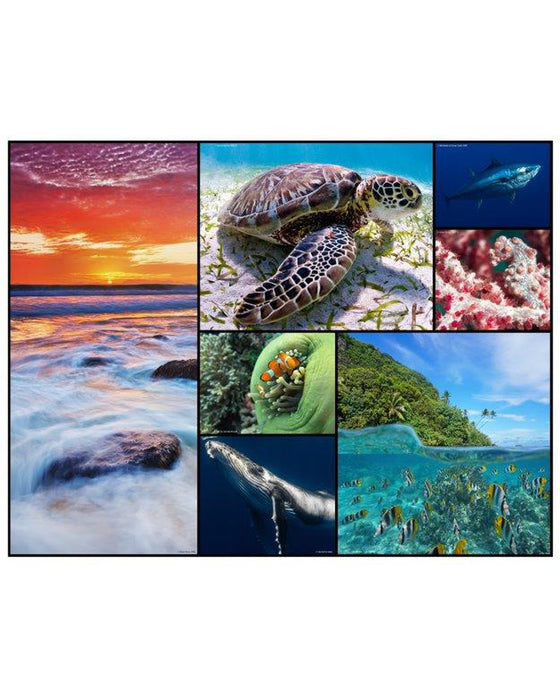 WWF Animal 48 pc floor puzzle Oceans