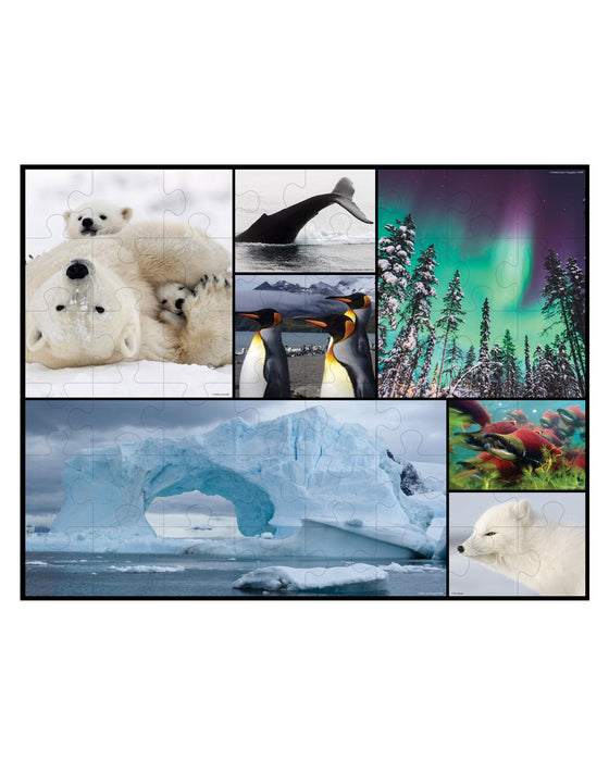 WWF 48PC Floor Puzzle Polar