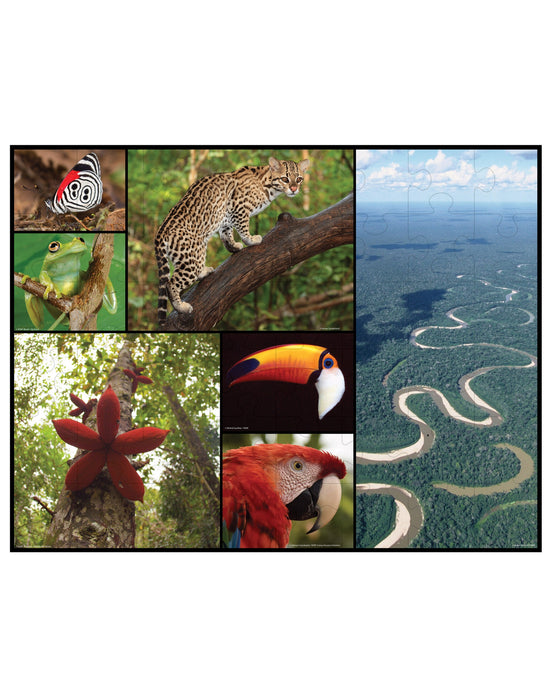 WWF 48PC Amazon