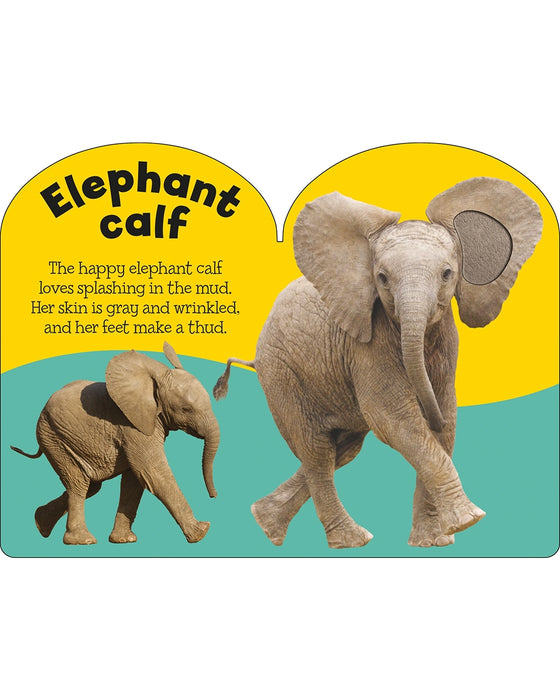 Zoo hot sale babies book