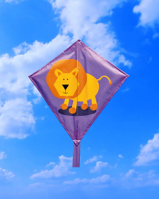 Freeplay Kids Kite Mini - Assorted