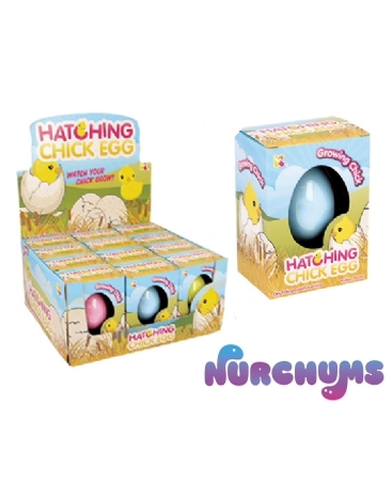 Small Chick Hatching Eggs