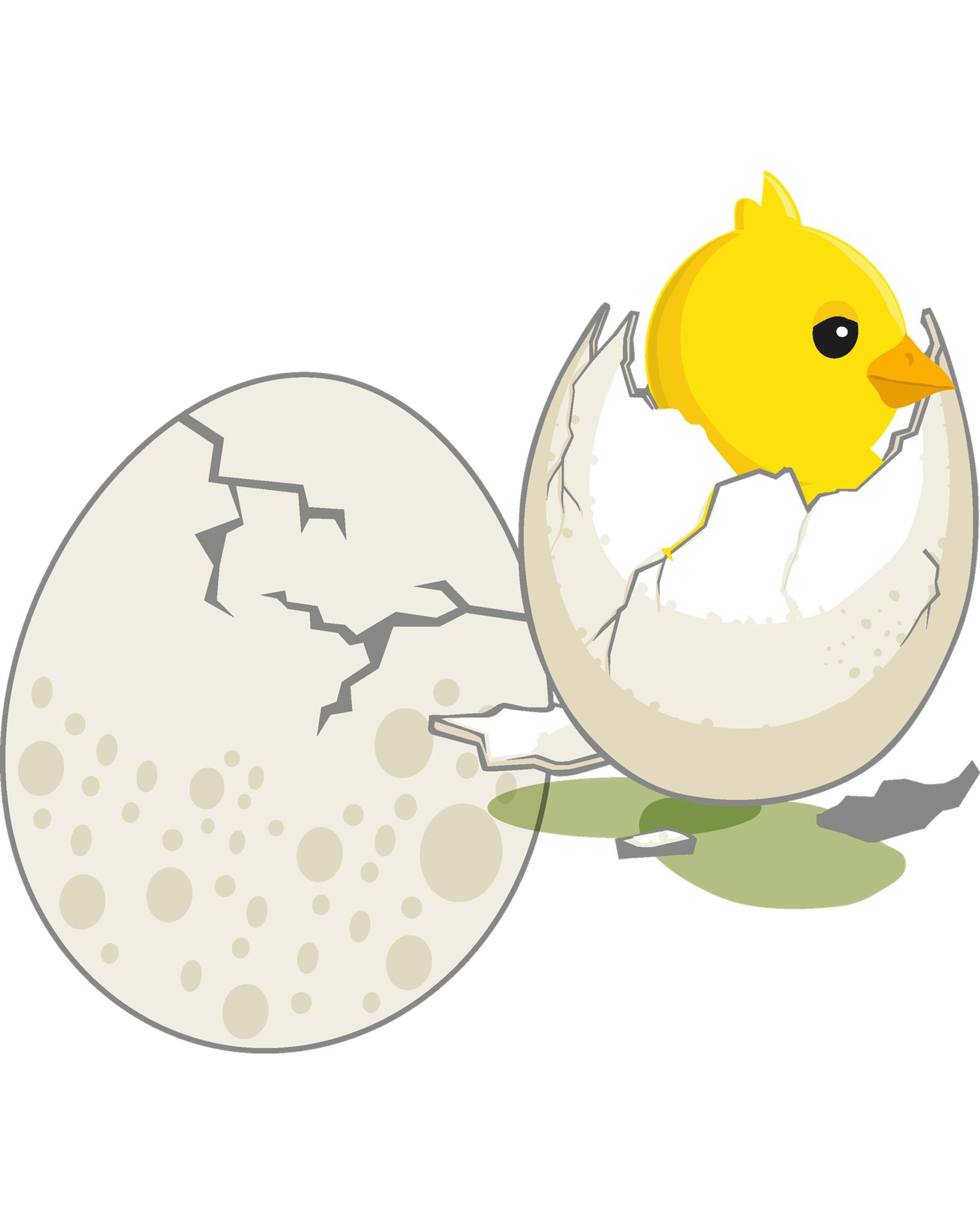Small Chick Hatching Eggs