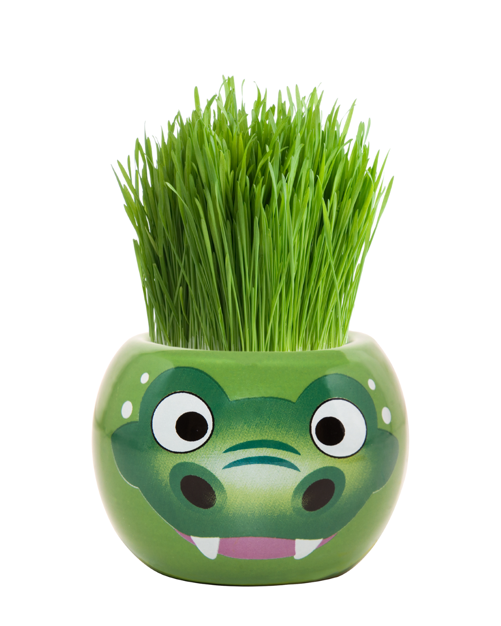 Grass Hair Kits Aussie Animal Crocodile