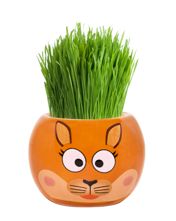 Grass Hair Kits Aussie Animal Kangaroo