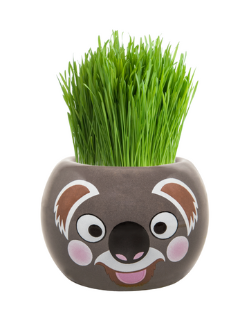Grass Hair Kits Aussie Animal Koala
