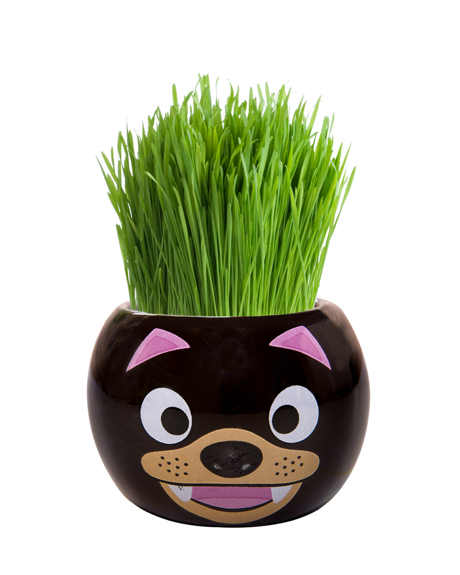 Grass Hair Kits Aussie Animal Tasmanian Devil
