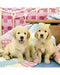 Ravensburger Cute Puppy Dogs Puzzle 3x49pc